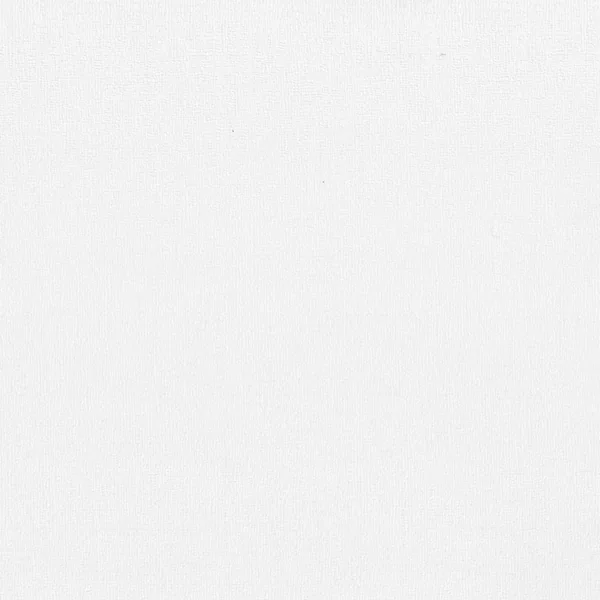 Q5-21 Art-Paint Finish Panel — pale off-white, soft mottled finish.